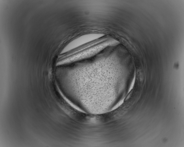 X0000099480564200805301621