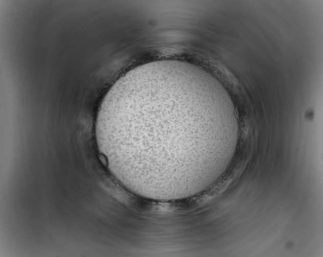 X0000099480565200805301621