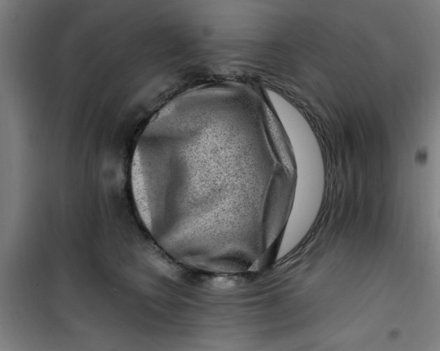 X0000099480566200805301621
