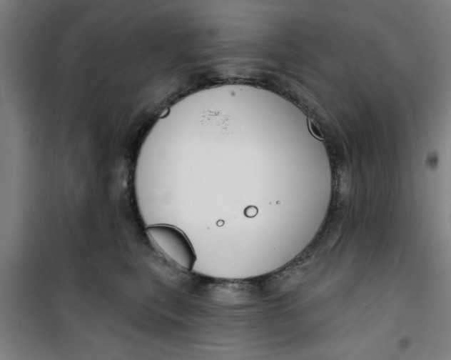 X0000099480567200805301621