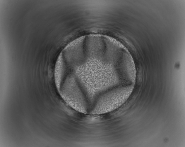 X0000099480569200805301621