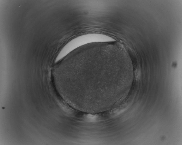 X0000099480570200805301621