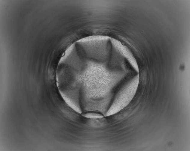 X0000099480571200805301621