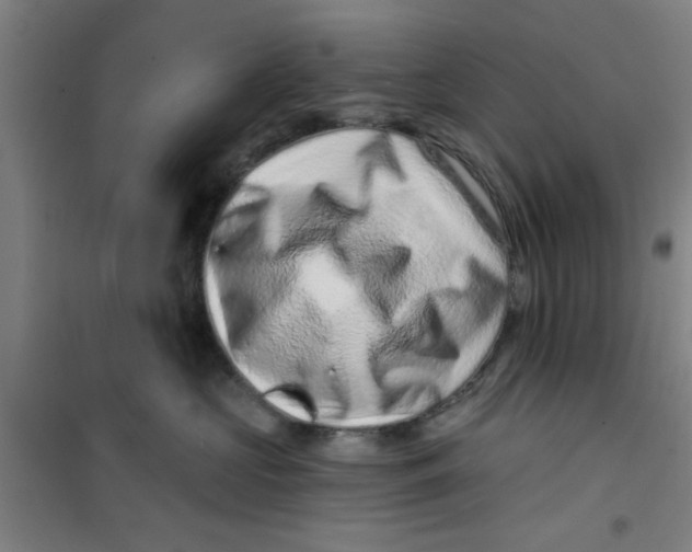 X0000099480573200805301621