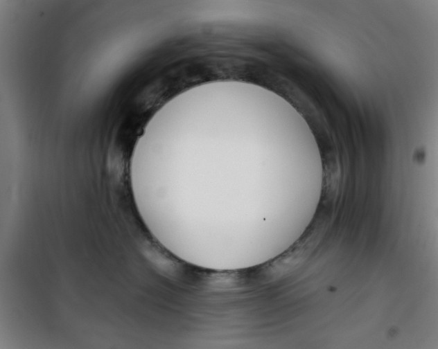 X0000099480574200805301621