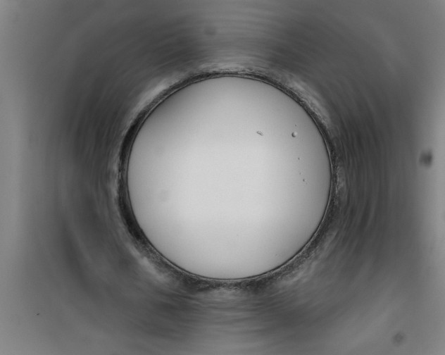 X0000099480578200805301621