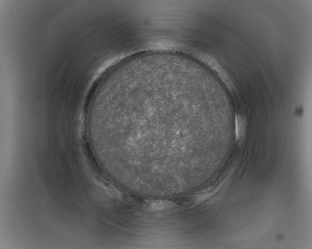 X0000099480579200805301620