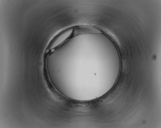 X0000099480580200805301620
