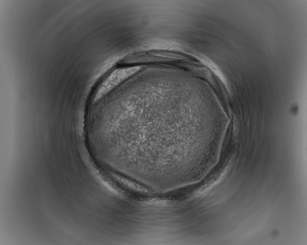X0000099480581200805301620