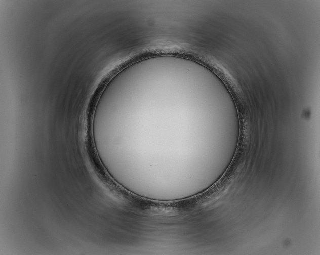 X0000099480582200805301620