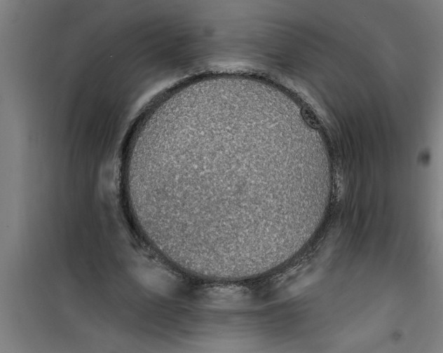 X0000099480583200805301620