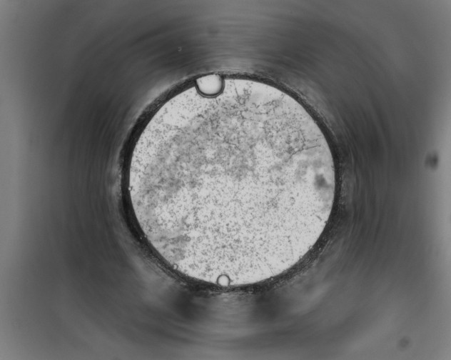 X0000099480584200805301620