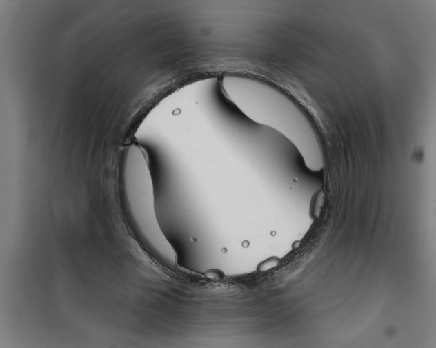 X0000099480585200805301620