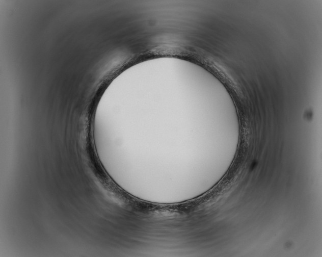 X0000099480586200805301620