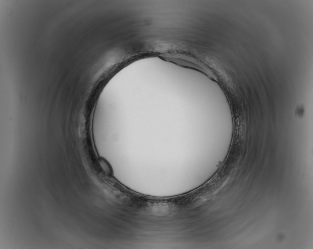 X0000099480587200805301620