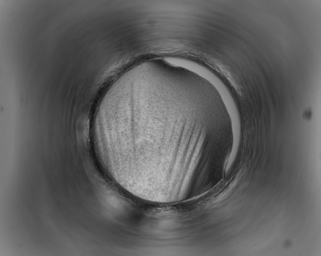 X0000099480589200805301620