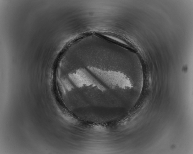 X0000099480592200805301620