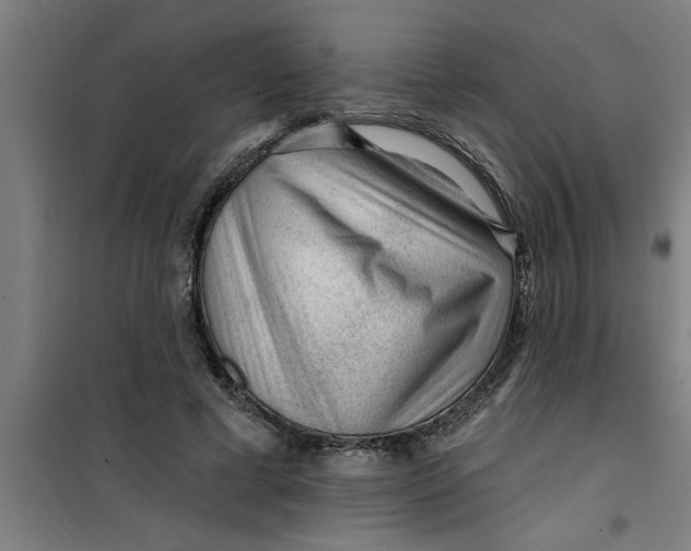 X0000099480593200805301620