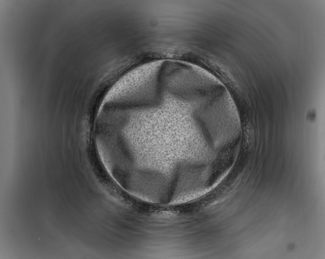 X0000099480594200805301620