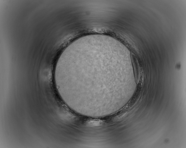 X0000099480595200805301620