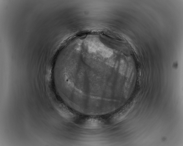 X0000099480596200805301620