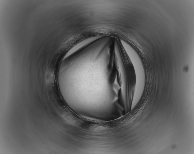 X0000099480597200805301620