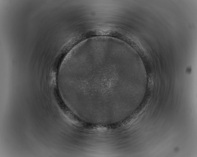 X0000099480598200805301620