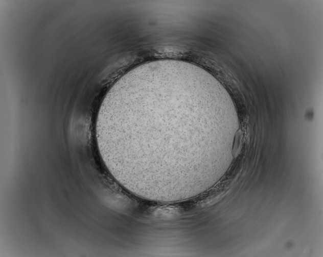 X0000099480599200805301620