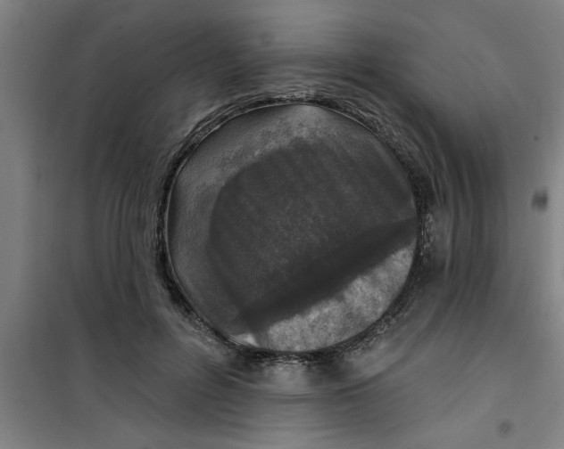 X0000099480600200805301620