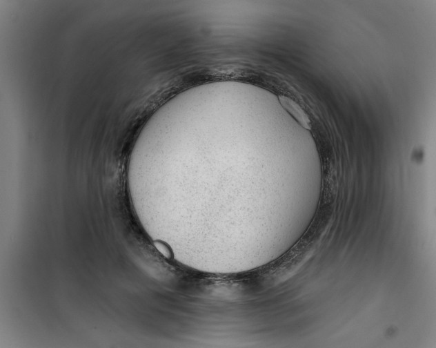 X0000099480601200805301620