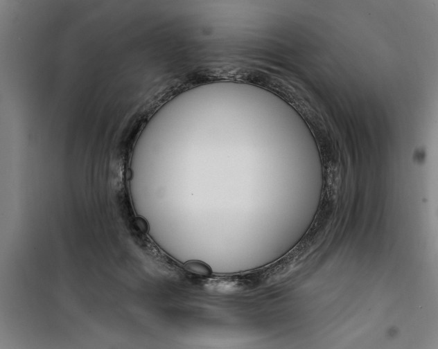 X0000099480602200805301620