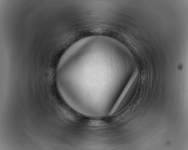 X0000099480605200805301620
