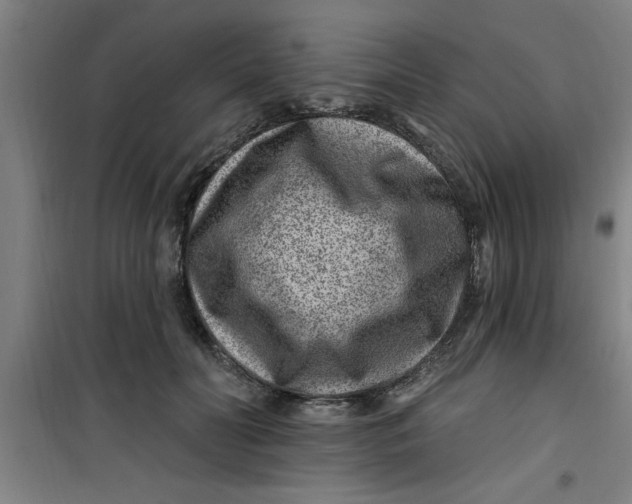 X0000099480606200805301620