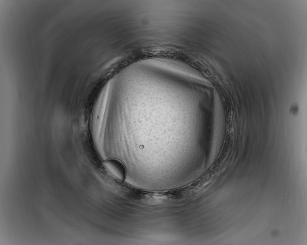 X0000099480607200805301620
