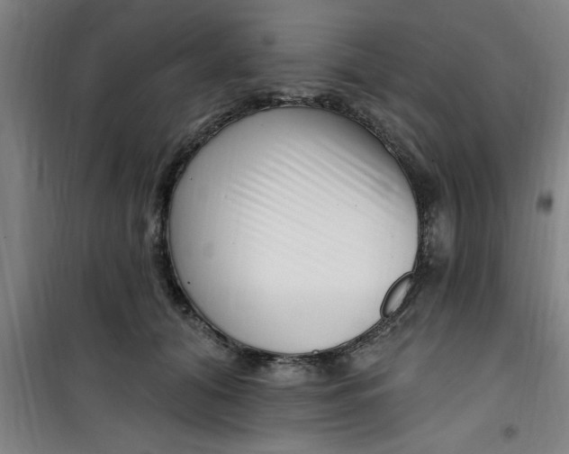 X0000099480608200805301620