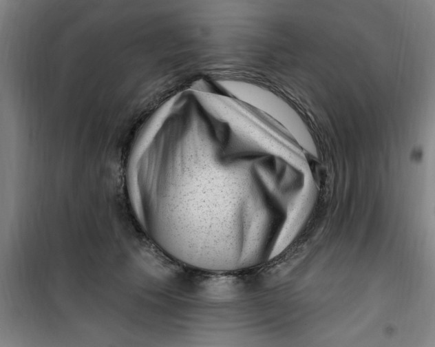X0000099480609200805301620