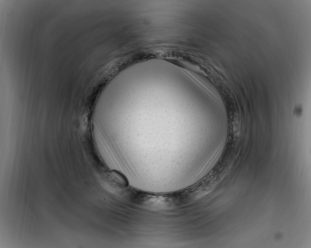 X0000099480611200805301620
