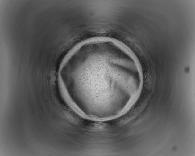X0000099480612200805301620