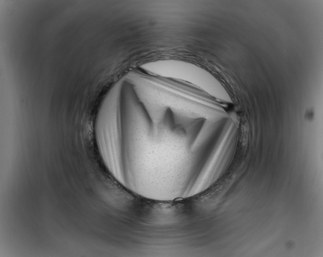 X0000099480613200805301620