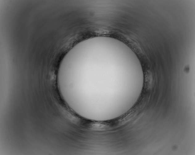 X0000099480614200805301620