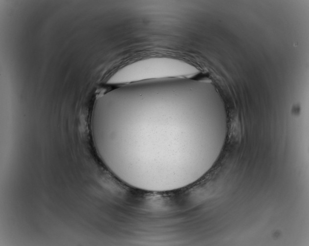 X0000099480616200805301620