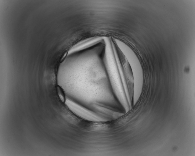 X0000099480617200805301620