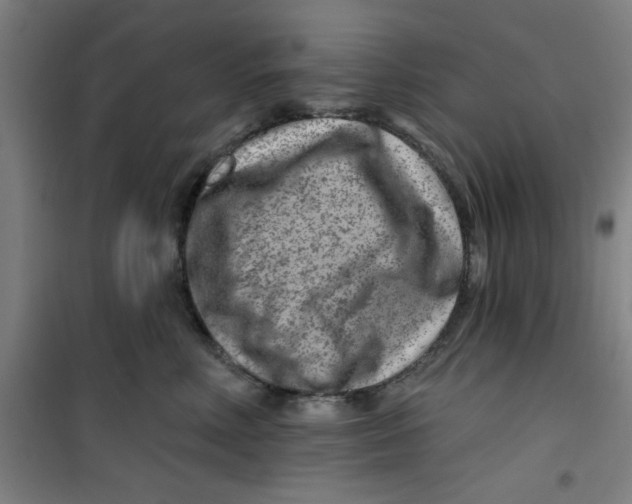 X0000099480618200805301620