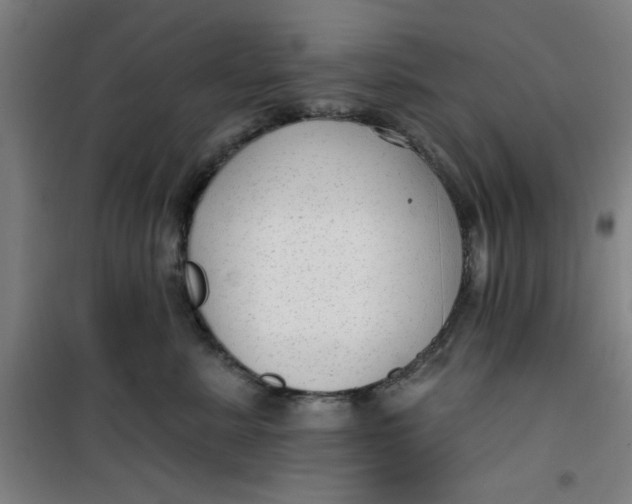 X0000099480619200805301620