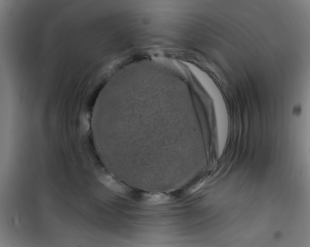 X0000099480621200805301620