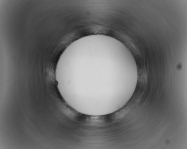 X0000099480622200805301620
