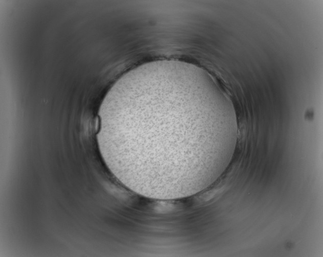 X0000099480623200805301620