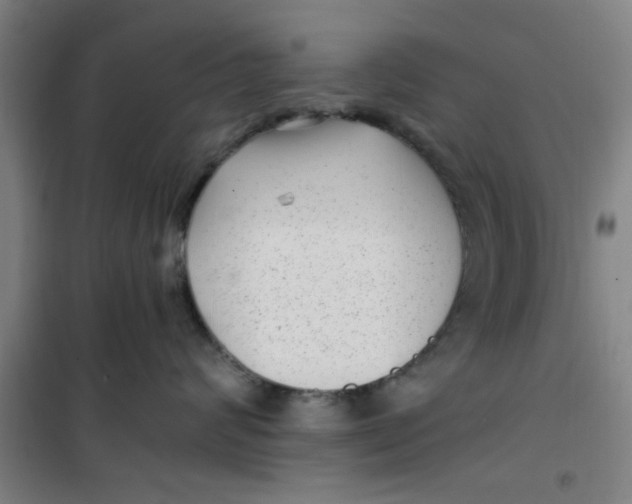 X0000099480624200805301620