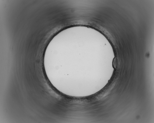 X0000099480625200805301619