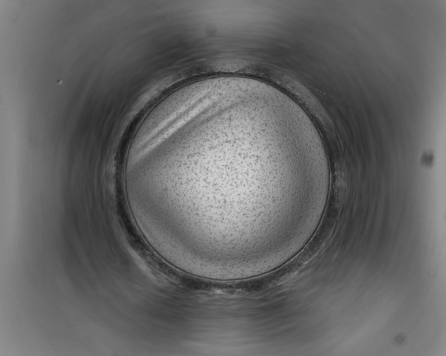 X0000099480626200805301619